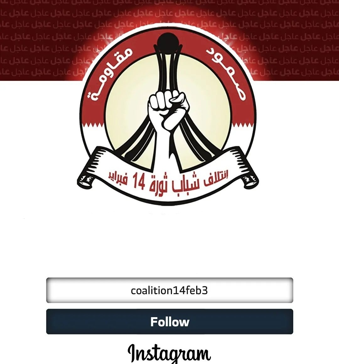 ائتلاف 14 فبراير يستعيد حسابيه المغلقين على «أنستغرام» 