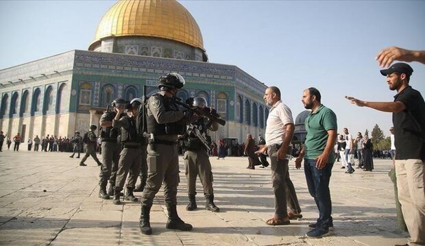ائتلاف 14 فبراير يستنكر اقتحام الصهاينة للمسجد الأقصى   