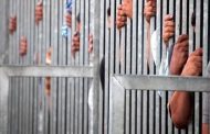 إنفوغراف «سجون النظام البحريني واقع مأساوي لضحايا القتل البطيء» يكشف معاناة السجناء