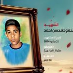 السيد محمود محسن أحمد: