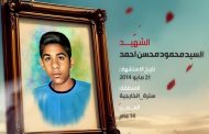 السيد محمود محسن أحمد: