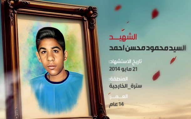 السيد محمود محسن أحمد: