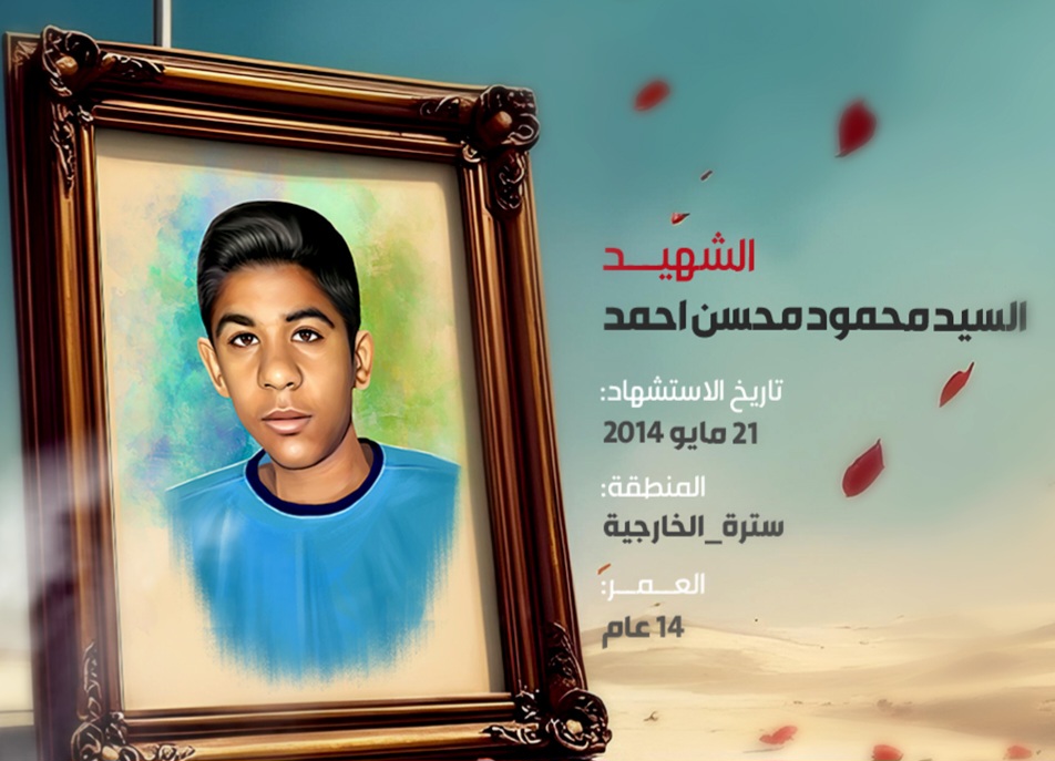 السيد محمود محسن أحمد: