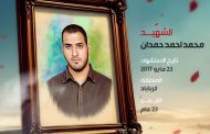 محمد احمد حمدان