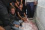 المقاومة الفلسطينيّة تشيد بدور اليمن في استنزاف الصهاينة 