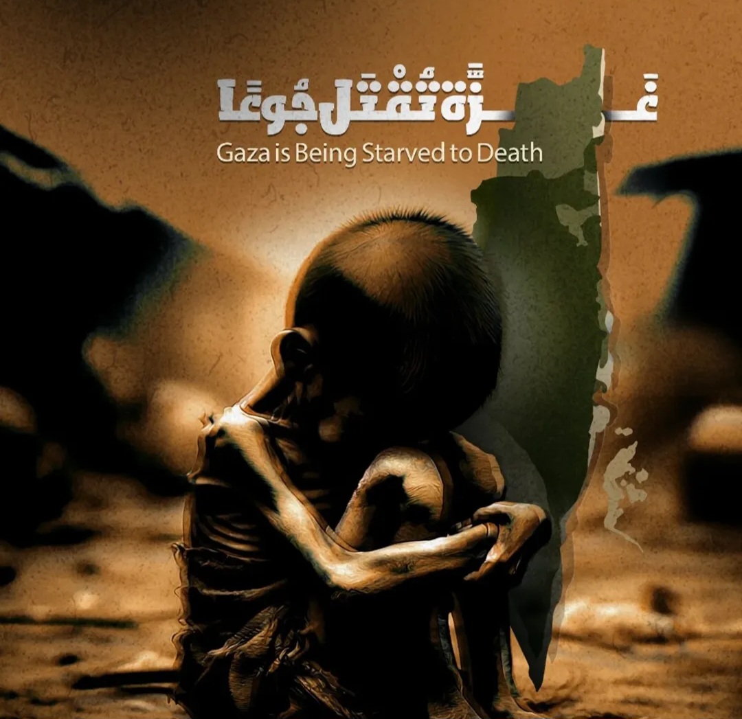 February 14 Coalition Condemns the Starvation War in Gaza   