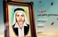محمد الحاج كاظم علي 