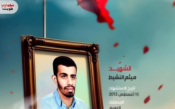 الشهيد ميثم النشيط 
