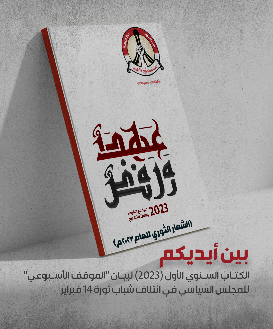 الكتاب السنوي الأول (٢٠٢٣) لبيان 