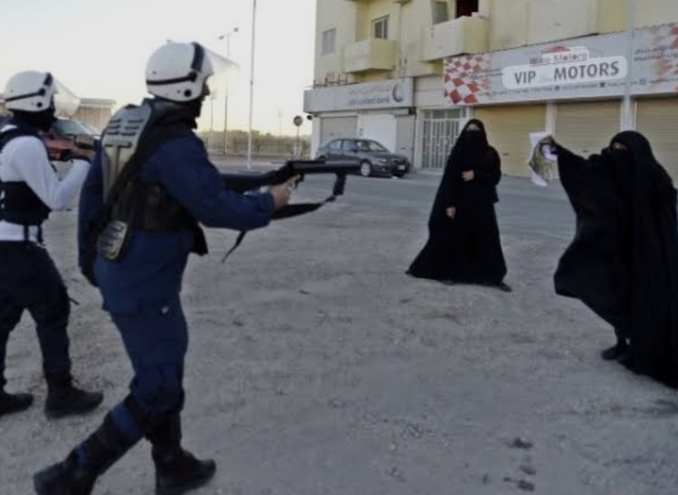 Statement: The Supreme Council for Women’s Silence on the Arbitrary Revocation of the Citizenship of 22 Women Is Complicity and Whitewashing of the Regime’s Decisions