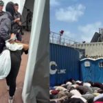 انتقادات حادة للاحتلال بعد بثّ مشاهد إذلال ناشطين متضامنين مع غزّة