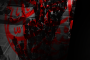 الفقيه القائد قاسم: إحياء ذكر أهل البيت «ع» من ثوابت الشيعة