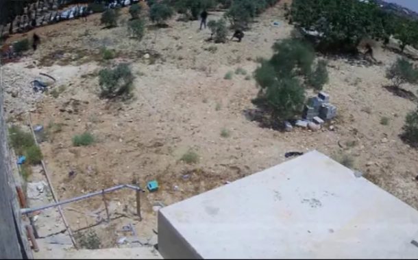 اعتداءات المستوطنين تتوسّع في الضفّة لتهجير الفلسطينيّين والاستيلاء على أراضيهم