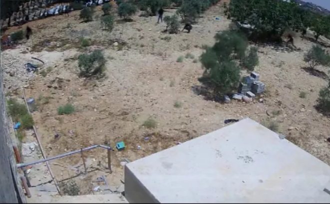 اعتداءات المستوطنين تتوسّع في الضفّة لتهجير الفلسطينيّين والاستيلاء على أراضيهم